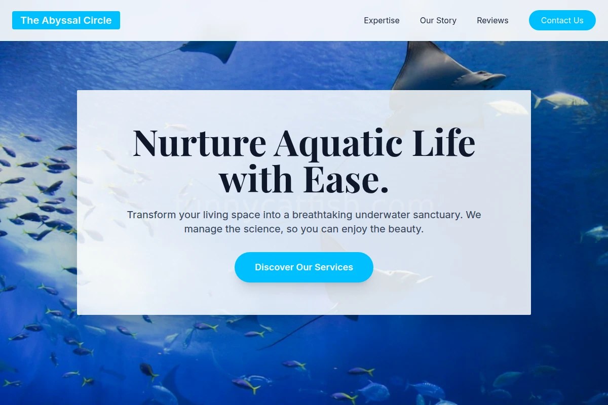 FunnyCatfish.com