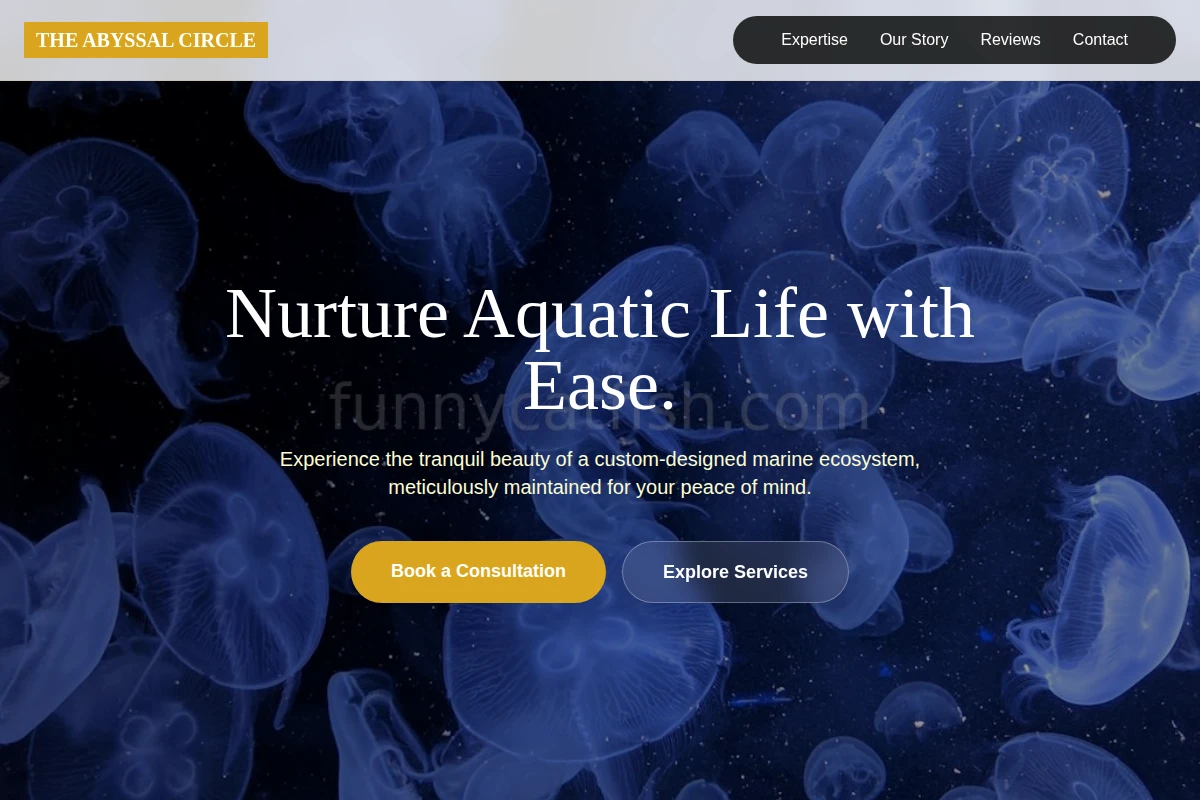Anemone Aquarium
