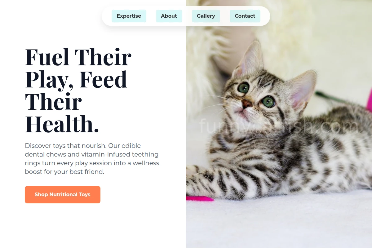 Nutrition Pet Toys